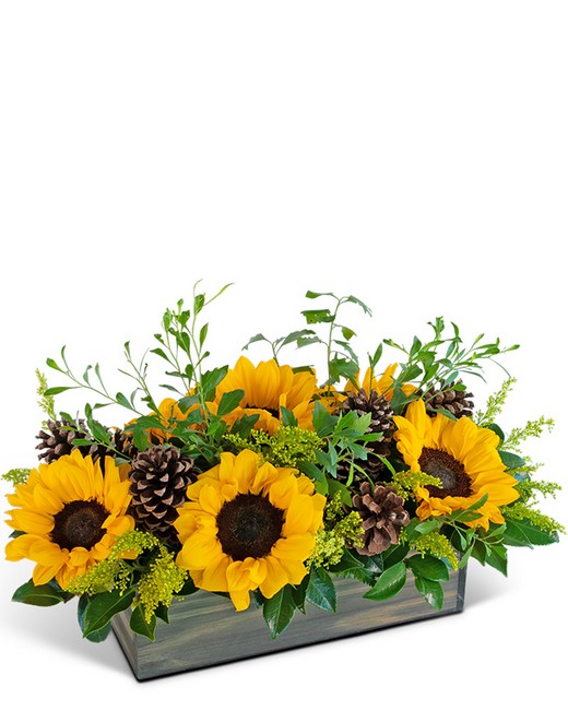 Rustic Autumn Fields from Sunrise Floral in O'Neill, Nebraska